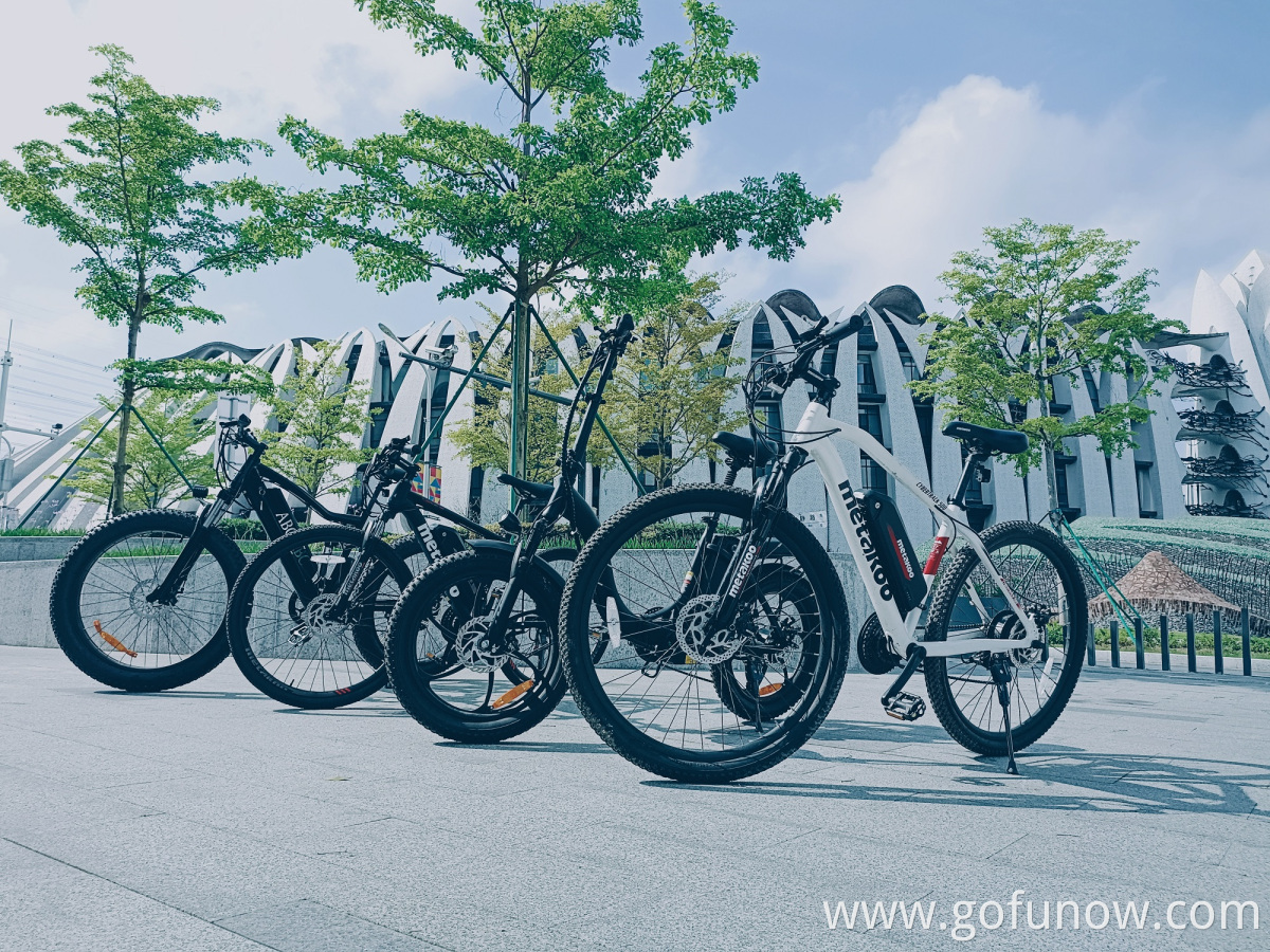 2022 Long range central motor 36V 350W electric mountain bike trek wholesale full suspension Electric Bike